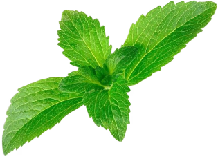 Stevia