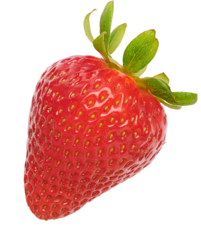 Çilek